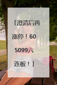澄清后再涨停！605099六连板！